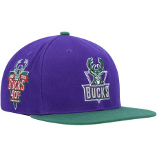 Milwaukee Bucks Mitchell & Ness Hardwood Classics 40th Anniversary Team Side Fitted Hat - Purple/Hunter Green